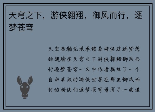 天穹之下，游侠翱翔，御风而行，逐梦苍穹